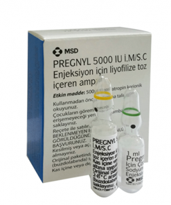 PCT & ESTROGEN CONTROL